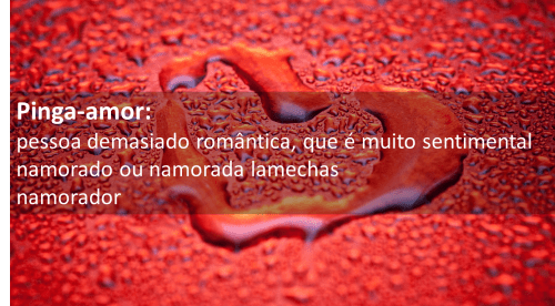 pinga-amor